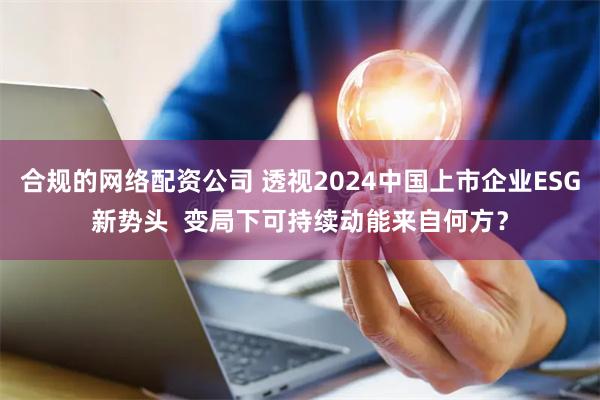 合规的网络配资公司 透视2024中国上市企业ESG新势头  变局下可持续动能来自何方？