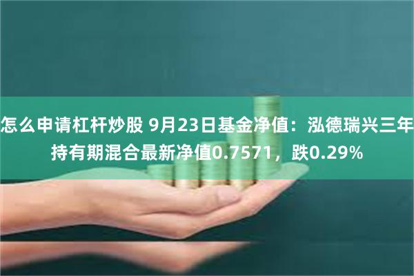 怎么申请杠杆炒股 9月23日基金净值：泓德瑞兴三年持有期混合最新净值0.7571，跌0.29%