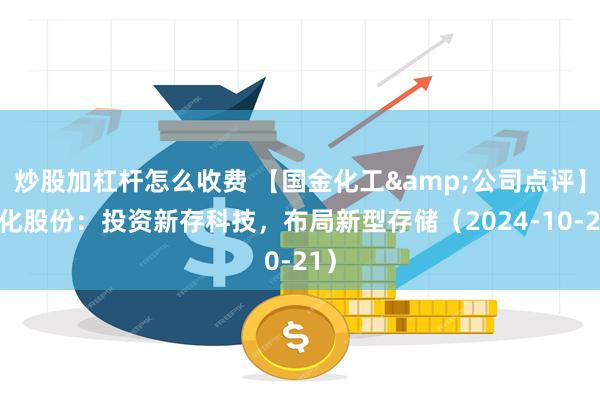 炒股加杠杆怎么收费 【国金化工&公司点评】新化股份：投资新存科技，布局新型存储（2024-10-21）