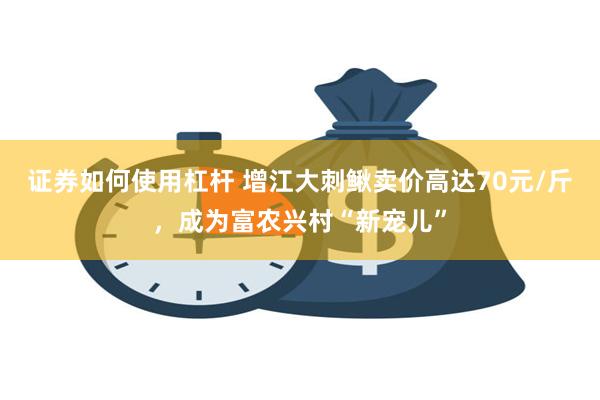 证券如何使用杠杆 增江大刺鳅卖价高达70元/斤，成为富农兴村“新宠儿”