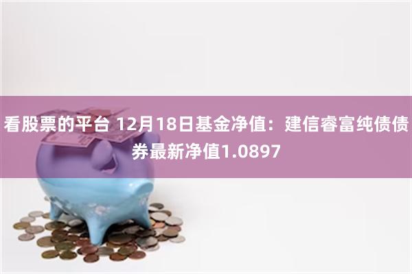 看股票的平台 12月18日基金净值：建信睿富纯债债券最新净值1.0897