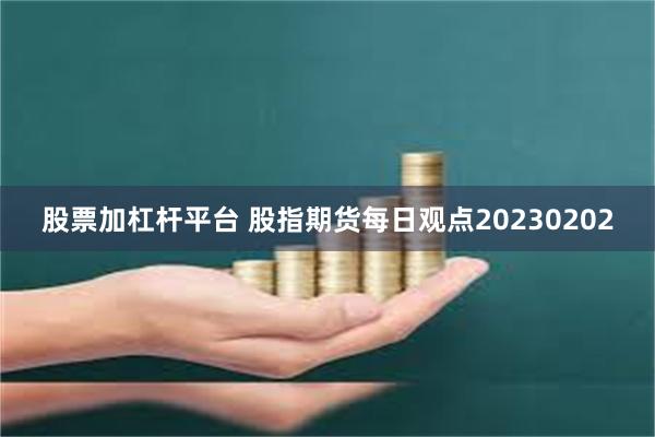 股票加杠杆平台 股指期货每日观点20230202